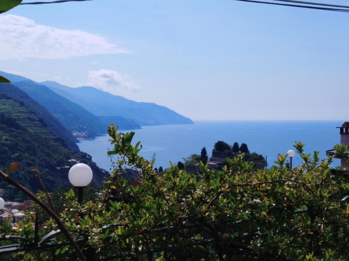 La Cabana Cinque Terre Monterosso Monterosso al Mare Zewnętrze zdjęcie