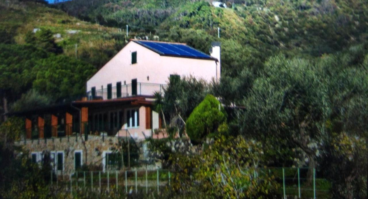 La Cabana Cinque Terre Monterosso Monterosso al Mare Zewnętrze zdjęcie